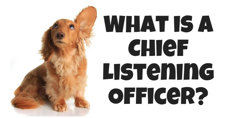 How To Become A Chief Listening Officer