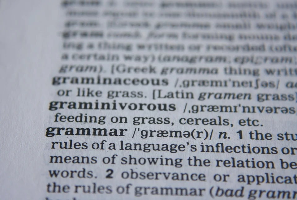 Dictionary - Grammar