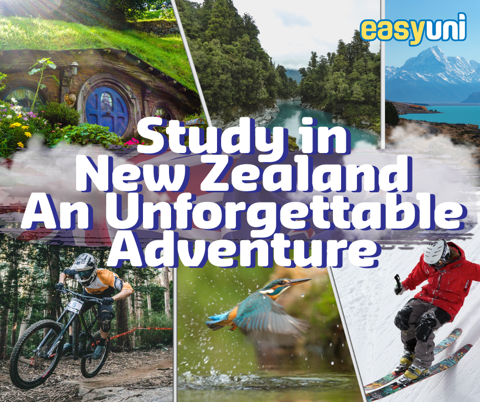 Studying in New Zealand | An Unforgettable Adventure